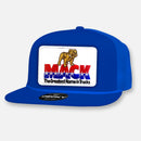 SIXTY NINE FLAVORS FLAT BILL PATCH HAT COLLECTION 2