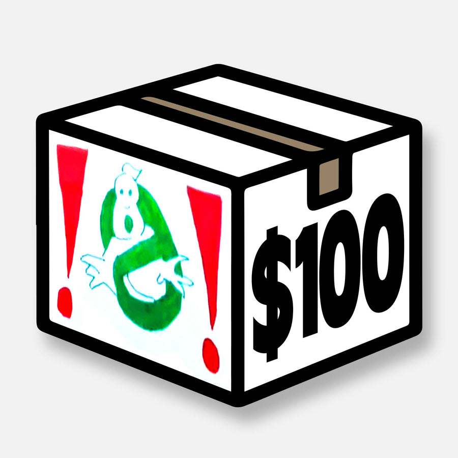 WEBIG $100 MYSTERY BOX - $200 VALUE FOR $100